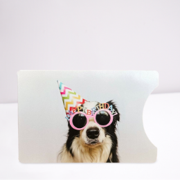 Weiße Verpackung mit schwarz-weißem Hund mit "Happy Birthday" Sonnenbrille und Partyhut